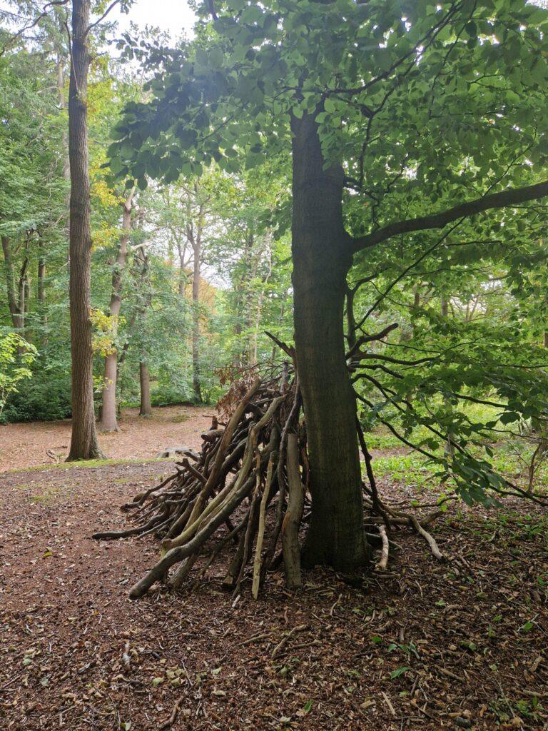 Gestapelde takken tegen boom