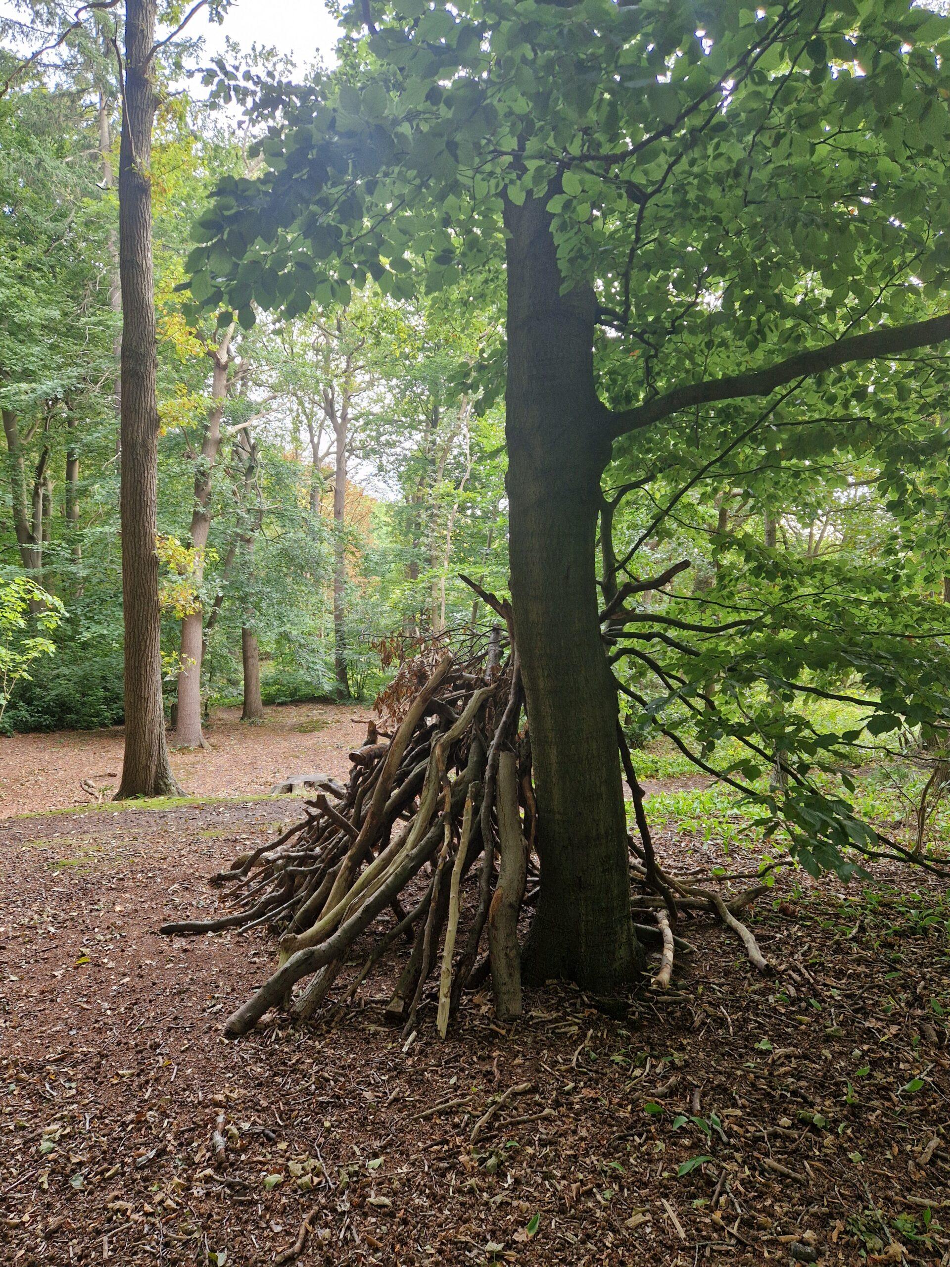 Stapel takken tegen boom