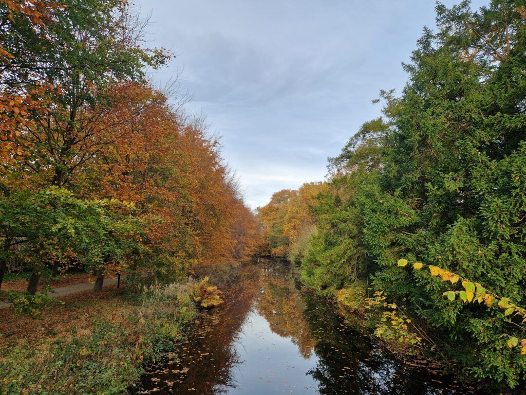 Herfstbeeld met sloot